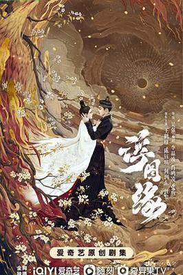 免费看扑克网站