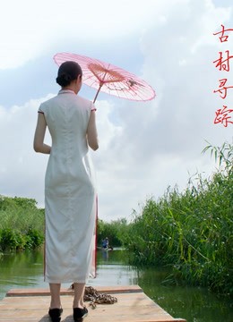 爱在日落之前剧情介绍