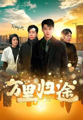 周末父母|电视剧