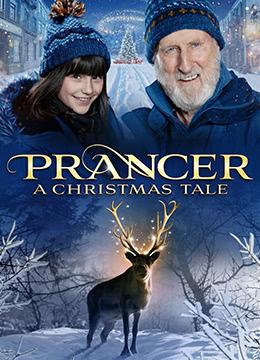 亚洲精品在线观看