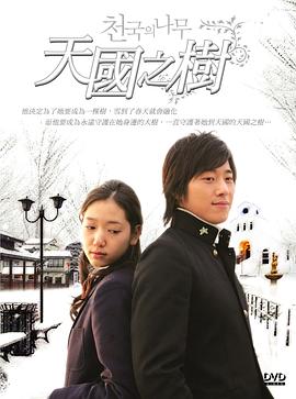 叶凡秋沐橙免费阅读完整版