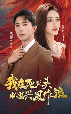 电视剧神医喜来乐