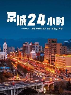 寻找爱情的邹小姐