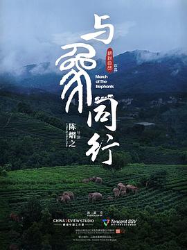 江疏影2分28秒视频在线