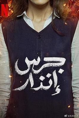 jojo的奇妙冒险第三季