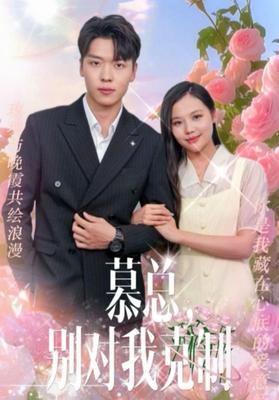 终极一家2|电视剧