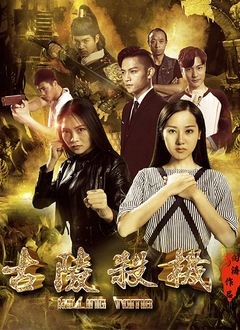 武工队传奇|电视剧