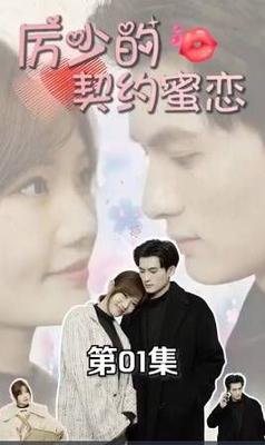 与黑帮大佬的365天第二部