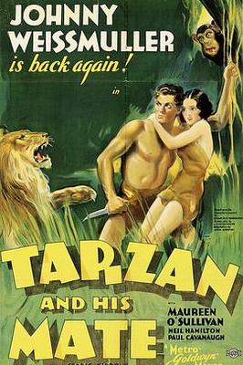 白莲花在线教学