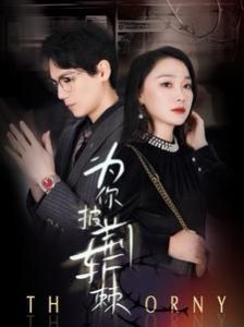 爱的理想生活电视剧免费观看