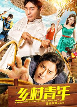 电视剧影子军团