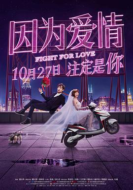 最好看的2019中文字幕