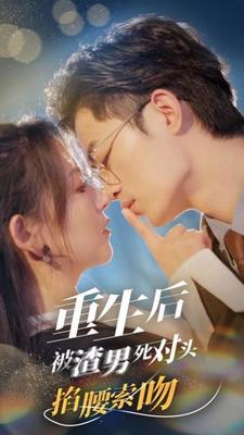 电视剧山河月明一共多少集