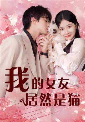 金陵十三钗小说