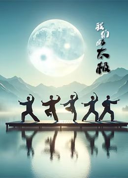 燧石行动国语免费完整高清播放第一季