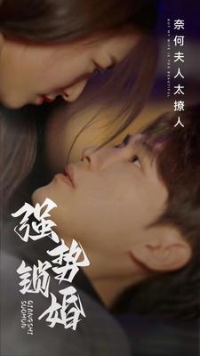 说谎的爱人|电视剧
