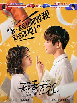 我是赵传奇电视剧