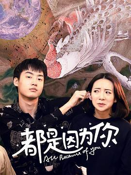 久久视频一区二区