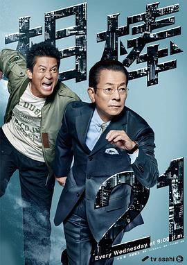 海豚爱上猫