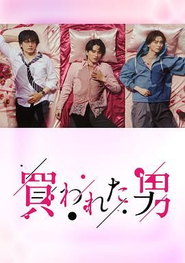 骚虎tv