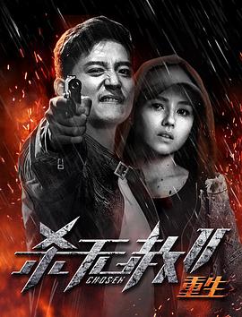 久久精品视频33