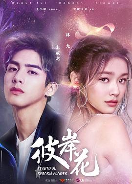 经典老歌100首怀旧连播