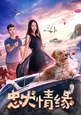 张警官的视频在线观看