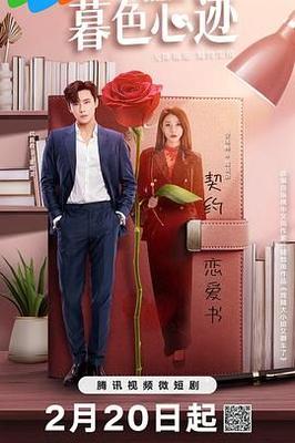 影帝的公主电视剧免费观看