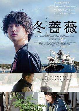 六盒宝典2021年最新版