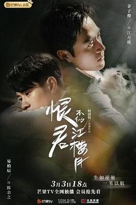 生死血符|电视剧