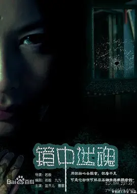 老有所依电视剧