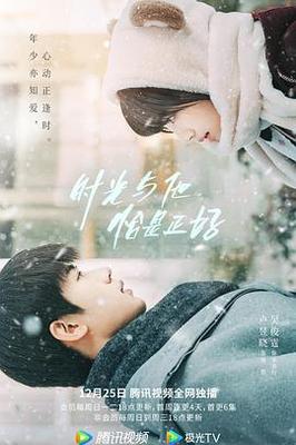 清网行动电视剧全集