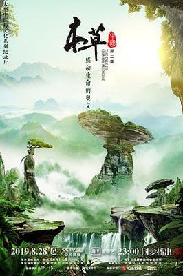 美丽牙科