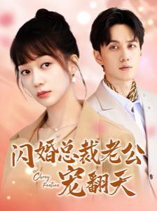 追爱家族一共多少集