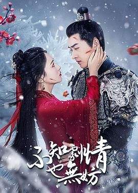 查看7天历史记录