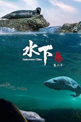 昆仑奴是黑人吗