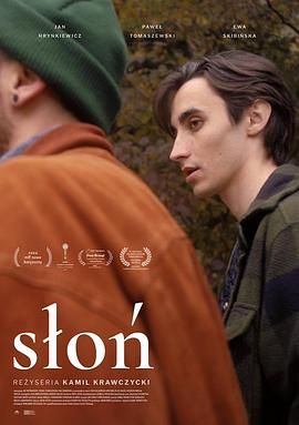 最新大陆计算机犯罪电视剧