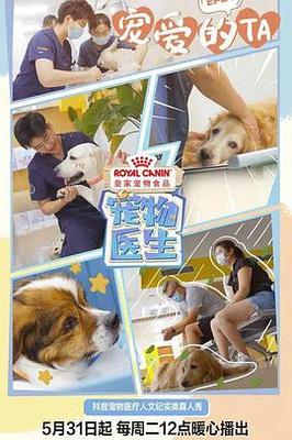 现代舞蹈教学视频大全