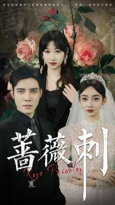 密战无声电视剧全集免费观看