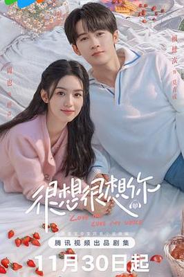 电视剧有翡免费观看全集完整版