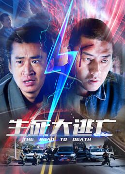 锦衣卫甄子丹国语