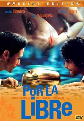 奇星记之鲜衣怒马少年时