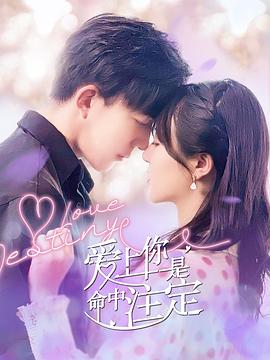 黑白配视频在线视频